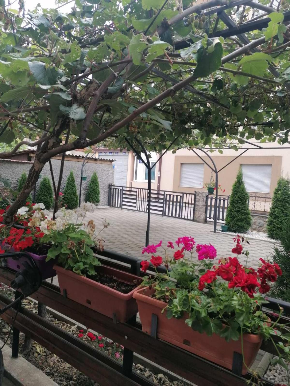 Petroski Apartments Ohrid Exterior foto